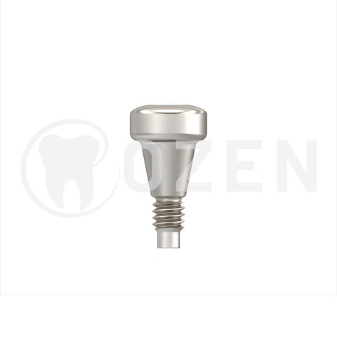 Healing abutment compatible with Megagen Anyone