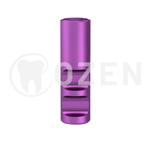 Analogue compatible with Straumann Bone-Level